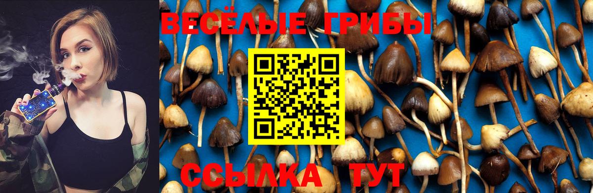 купить наркотик  Галлюциногенные грибы GOLDEN TEACHER  Вход с VPN  Кандалакша 